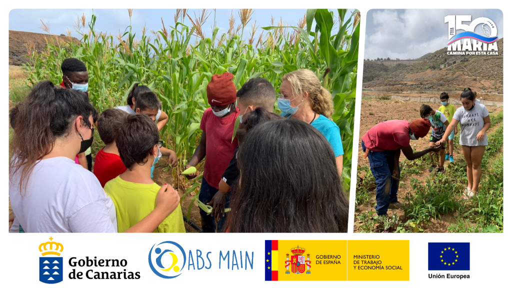 ¡Qué bien lo hemos pasado en la finca!